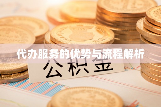 美姑代办服务的优势与流程解析