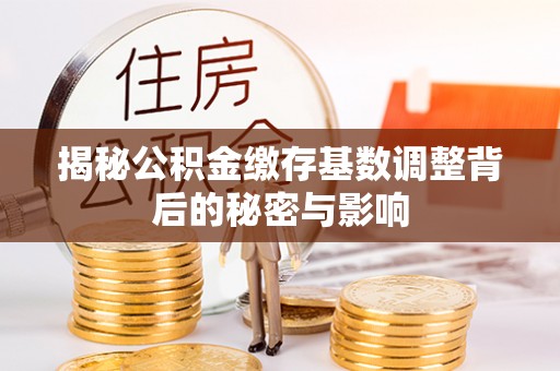 美姑揭秘公积金缴存基数调整背后的秘密与影响