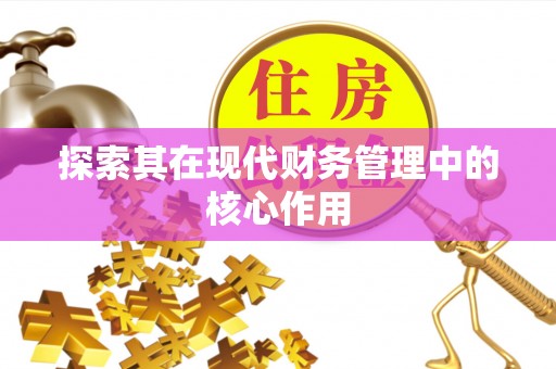 美姑探索其在现代财务管理中的核心作用