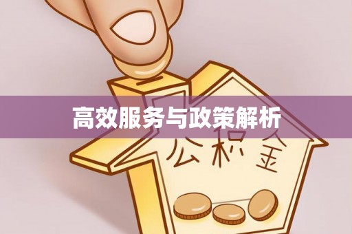 美姑高效服务与政策解析