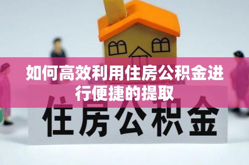 美姑如何高效利用住房公积金进行便捷的提取
