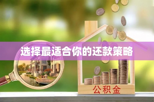 美姑选择最适合你的还款策略