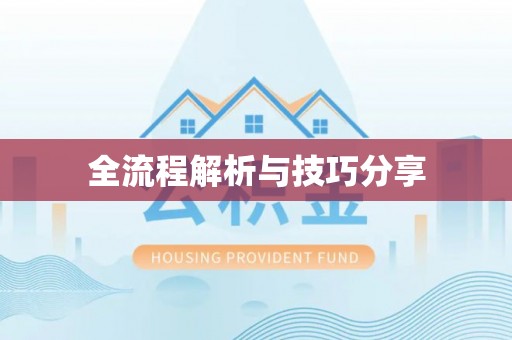 美姑全流程解析与技巧分享
